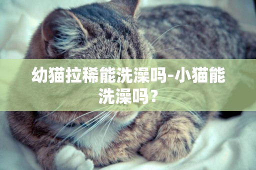 幼貓拉稀能洗澡嗎-小貓能洗澡嗎？