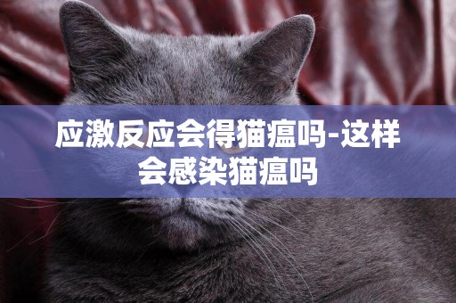 應激反應會得貓瘟嗎-這樣會感染貓瘟嗎