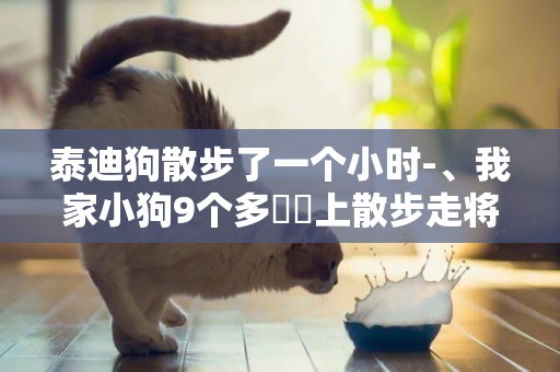 泰迪狗散步了一個小時-、我家小狗9個多冃晩上散步走將近1個小時,會不會太累啊我問的目的是不是時間走長