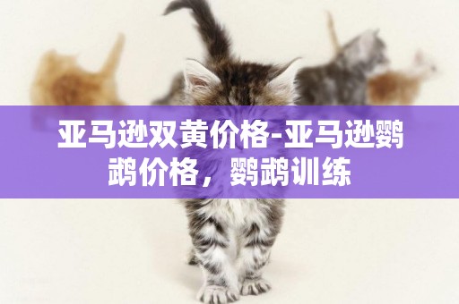 亞馬遜雙黃價格-亞馬遜鸚鵡價格，鸚鵡訓練