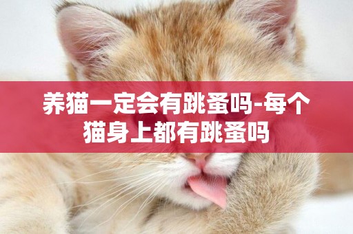 養貓一定會有跳蚤嗎-每個貓身上都有跳蚤嗎