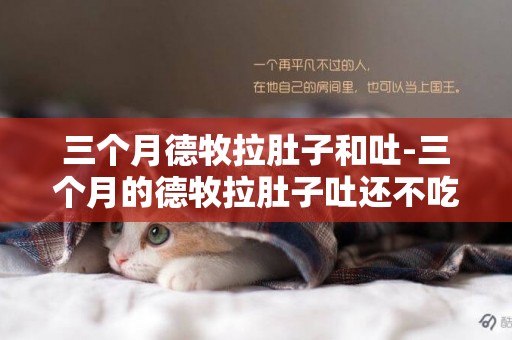 三個月德牧拉肚子和吐-三個月的德牧拉肚子吐還不吃飯怎么回事