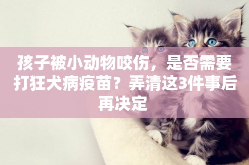 孩子被小動物咬傷，是否需要打狂犬病疫苗？弄清這3件事后再決定 
