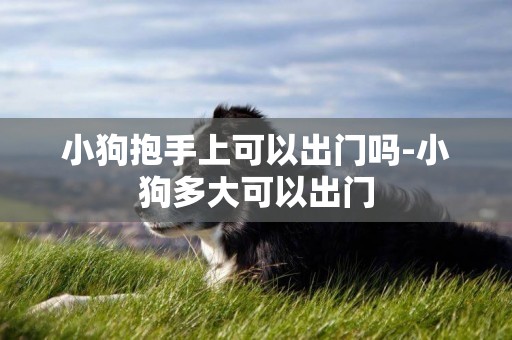 小狗抱手上可以出門嗎-小狗多大可以出門