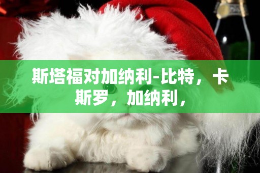 斯塔福對加納利-比特，卡斯羅，加納利，