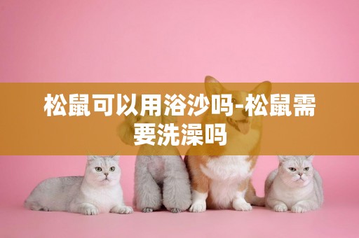 松鼠可以用浴沙嗎-松鼠需要洗澡嗎