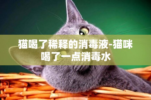 貓喝了稀釋的消毒液-貓咪喝了一點消毒水