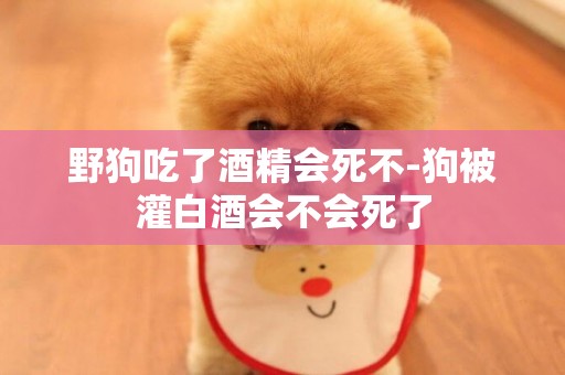 野狗吃了酒精會死不-狗被灌白酒會不會死了