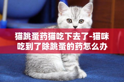 貓跳蚤藥貓吃下去了-貓咪吃到了除跳蚤的藥怎么辦