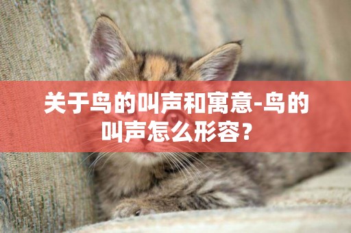 關于鳥的叫聲和寓意-鳥的叫聲怎么形容？