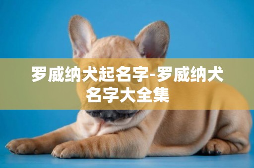 羅威納犬起名字-羅威納犬名字大全集