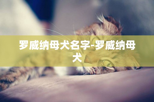羅威納母犬名字-羅威納母犬