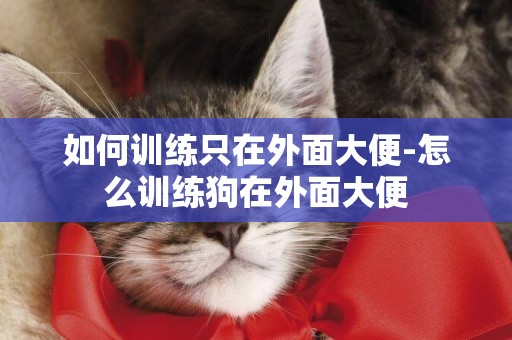 如何訓練只在外面大便-怎么訓練狗在外面大便