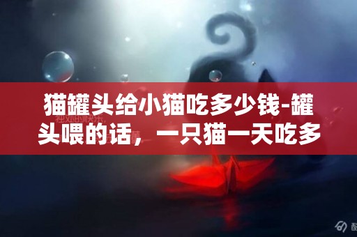 貓罐頭給小貓吃多少錢-罐頭喂的話，一只貓一天吃多少