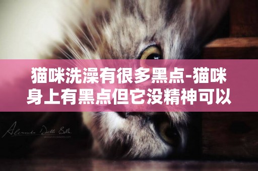 貓咪洗澡有很多黑點-貓咪身上有黑點但它沒精神可以洗澡嗎