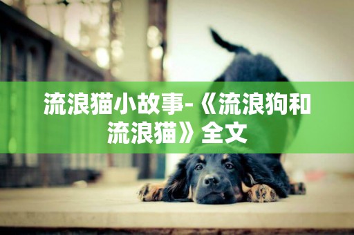 流浪貓小故事-《流浪狗和流浪貓》全文