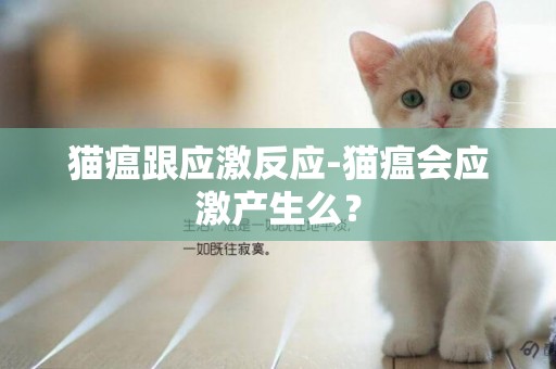 貓瘟跟應激反應-貓瘟會應激產生么？