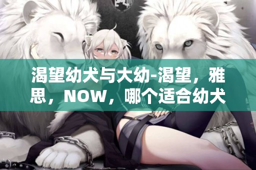 渴望幼犬與大幼-渴望，雅思，NOW，哪個適合幼犬吃啊