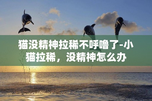 貓沒精神拉稀不呼嚕了-小貓拉稀，沒精神怎么辦