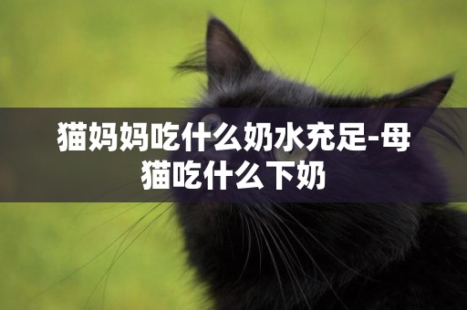 貓媽媽吃什么奶水充足-母貓吃什么下奶