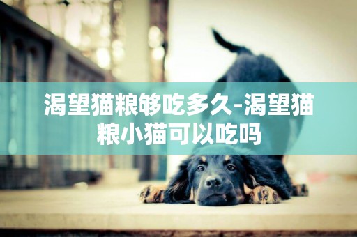 渴望貓糧夠吃多久-渴望貓糧小貓可以吃嗎