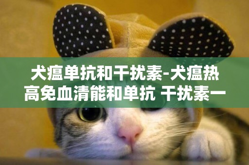 犬瘟單抗和干擾素-犬瘟熱高免血清能和單抗 干擾素一起打嗎