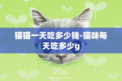 貓貓一天吃多少錢-貓咪每天吃多少g