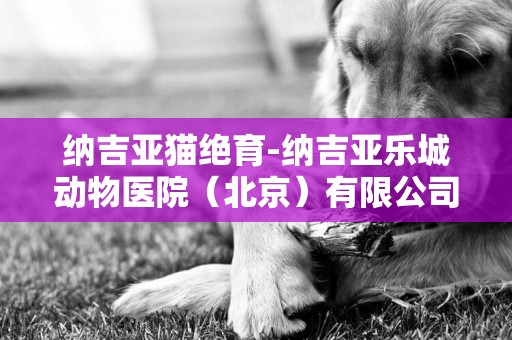 納吉亞貓絕育-納吉亞樂城動物醫院（北京）有限公司怎么樣？