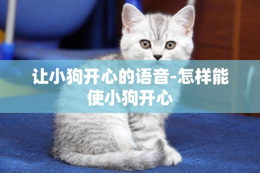 讓小狗開心的語音-怎樣能使小狗開心