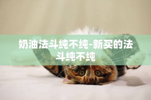 奶油法斗純不純-新買的法斗純不純