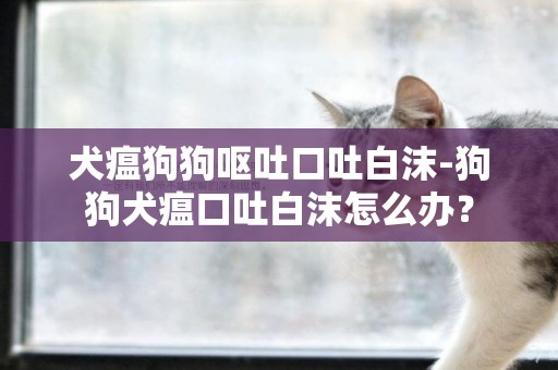 犬瘟狗狗嘔吐口吐白沫-狗狗犬瘟口吐白沫怎么辦？