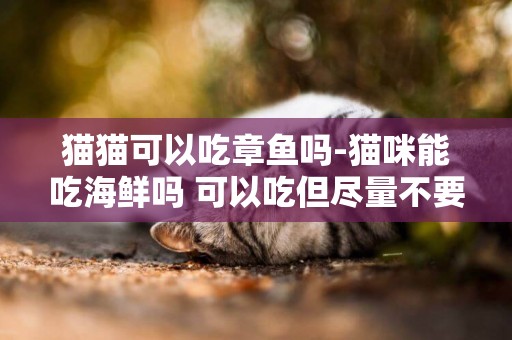 貓貓可以吃章魚嗎-貓咪能吃海鮮嗎 可以吃但盡量不要吃