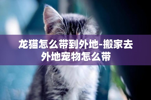 龍貓怎么帶到外地-搬家去外地寵物怎么帶