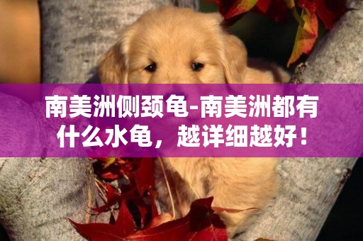 南美洲側頸龜-南美洲都有什么水龜，越詳細越好！