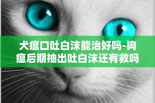 犬瘟口吐白沫能治好嗎-狗瘟后期抽出吐白沫還有救嗎？