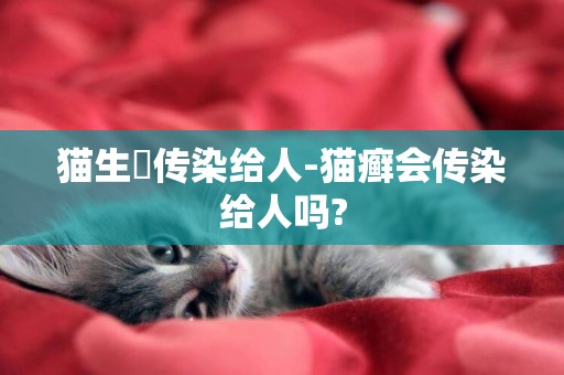 貓生廯傳染給人-貓癬會傳染給人嗎?