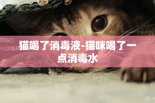 貓喝了消毒液-貓咪喝了一點消毒水