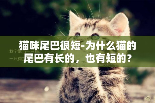貓咪尾巴很短-為什么貓的尾巴有長的，也有短的？