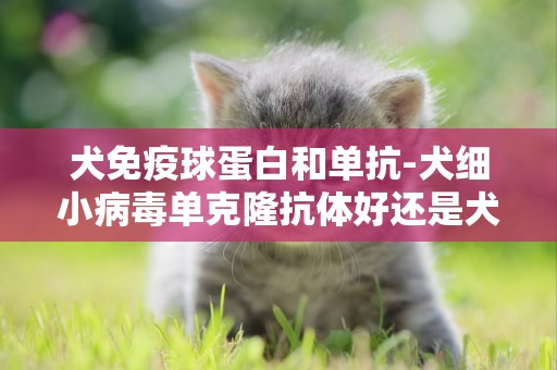 犬免疫球蛋白和單抗-犬細小病毒單克隆抗體好還是犬細心病毒蛋白好