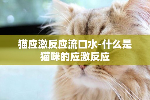 貓應激反應流口水-什么是貓咪的應激反應
