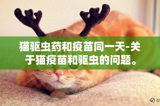 貓驅蟲藥和疫苗同一天-關于貓疫苗和驅蟲的問題。