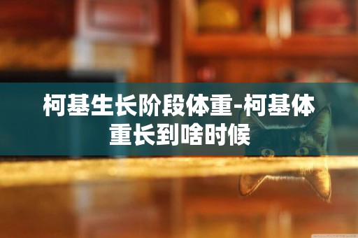 柯基生長階段體重-柯基體重長到啥時候