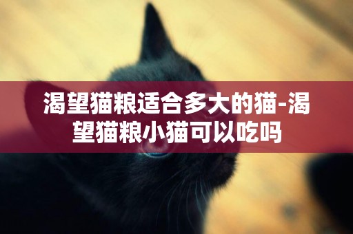 渴望貓糧適合多大的貓-渴望貓糧小貓可以吃嗎