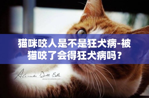 貓咪咬人是不是狂犬病-被貓咬了會得狂犬病嗎？