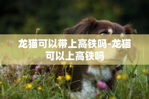 龍貓可以帶上高鐵嗎-龍貓可以上高鐵嗎