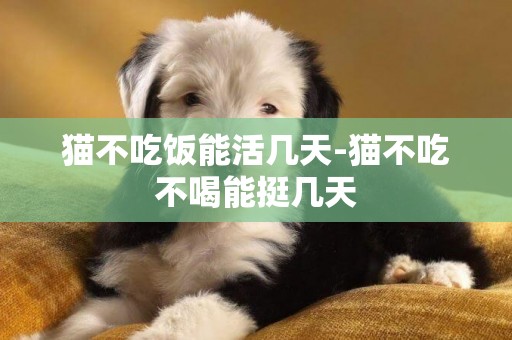 貓不吃飯能活幾天-貓不吃不喝能挺幾天