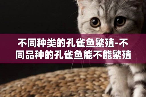 不同種類的孔雀魚繁殖-不同品種的孔雀魚能不能繁殖?