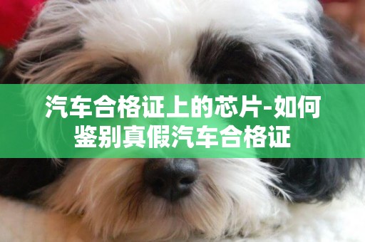 汽車合格證上的芯片-如何鑒別真假汽車合格證