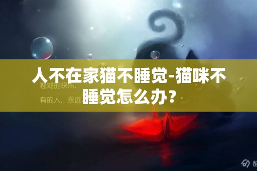 人不在家貓不睡覺-貓咪不睡覺怎么辦？