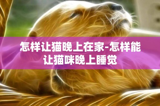 怎樣讓貓晚上在家-怎樣能讓貓咪晚上睡覺